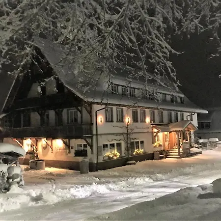 Pension Baarblick בית הארחה 3*