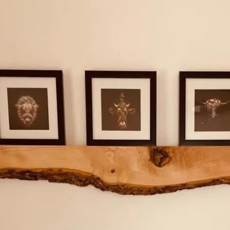 בית הארחה Pension Baarblick