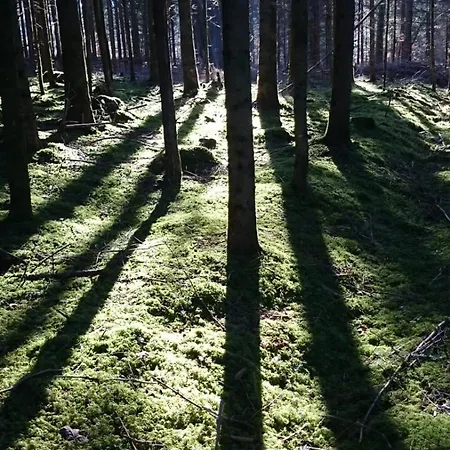בית הארחה Pension Baarblick דונאו-אשינגן