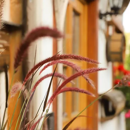 Gasthof Pension Baarblick 3*