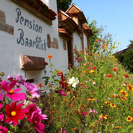 Pension Baarblick Pensjonat 3*