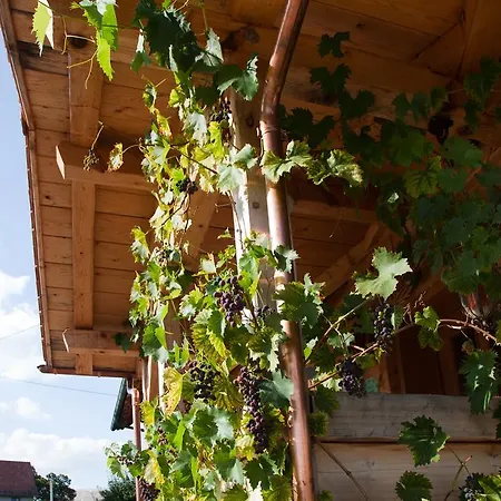 בית הארחה Pension Baarblick