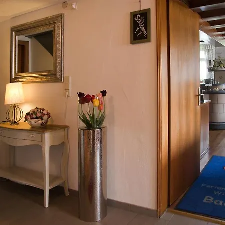 Pension Baarblick 3* Donaueschingen