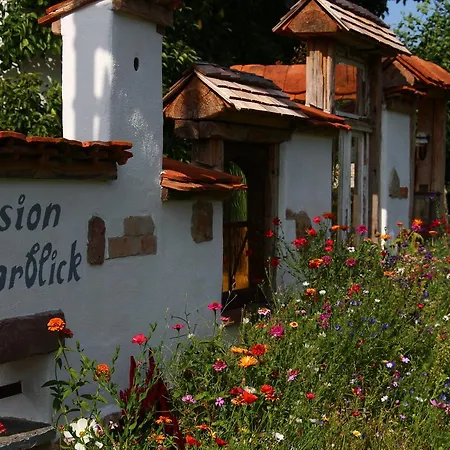 Pension Baarblick 3* Donaueschingen