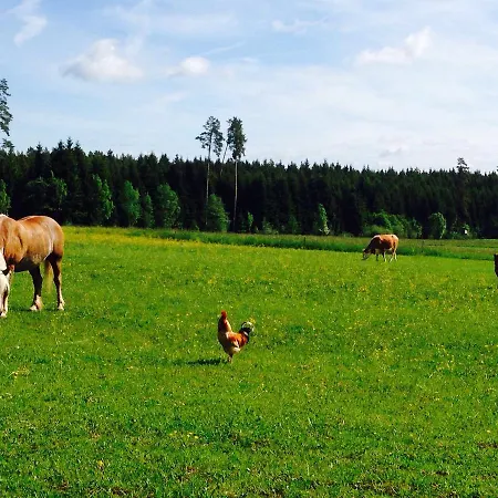 Pension Baarblick בית הארחה