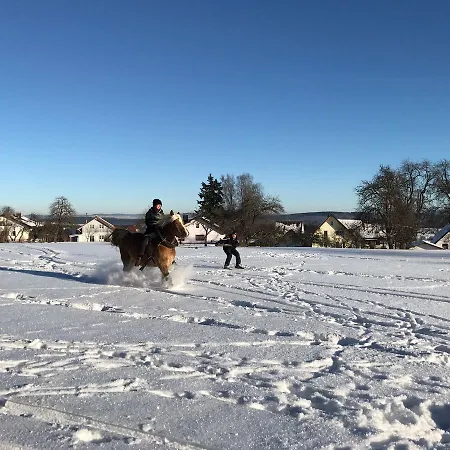 Pension Baarblick 3* דונאו-אשינגן