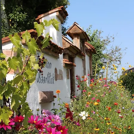 Gasthof Pension Baarblick Donaueschingen