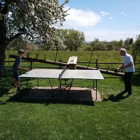 Pension Baarblick בית הארחה 3*