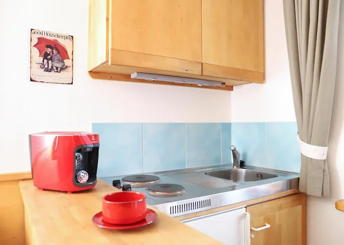 Pension Baarblick בית הארחה דונאו-אשינגן