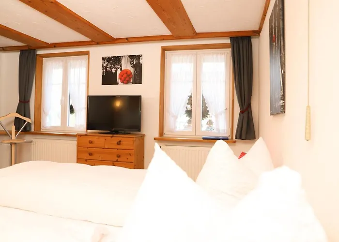 Pension Baarblick בית הארחה דונאו-אשינגן