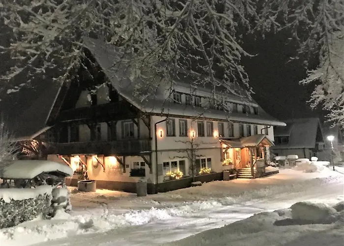 Pension Baarblick בית הארחה 3*