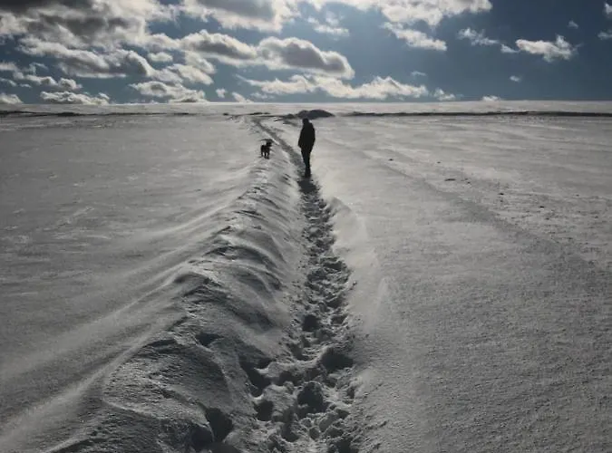 בית הארחה Pension Baarblick דונאו-אשינגן
