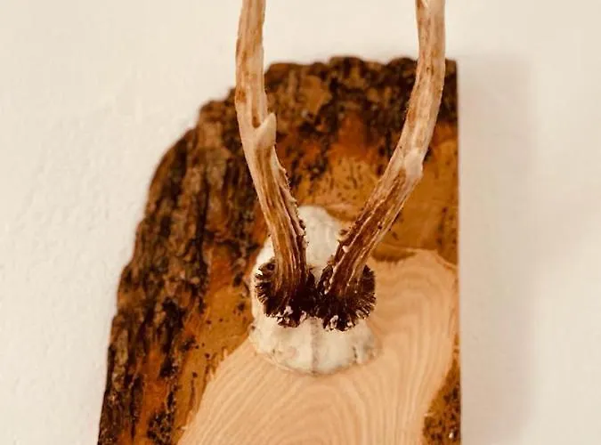 Pension Baarblick בית הארחה דונאו-אשינגן