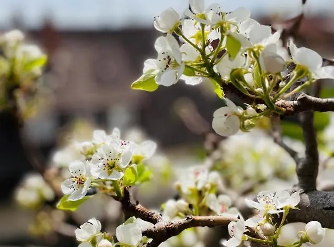 Pension Baarblick 3* דונאו-אשינגן