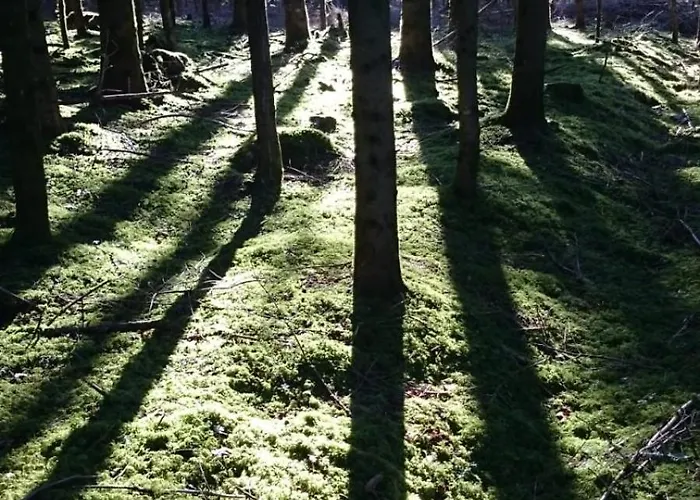 בית הארחה Pension Baarblick דונאו-אשינגן