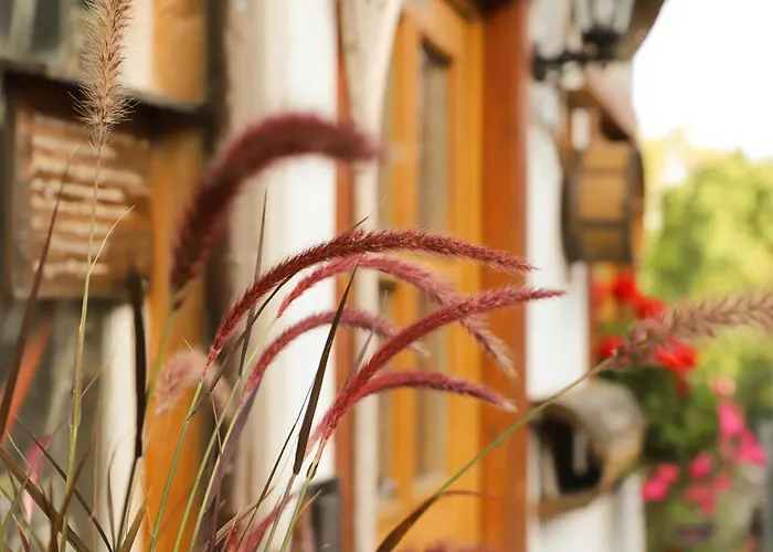 בית הארחה Pension Baarblick 3*