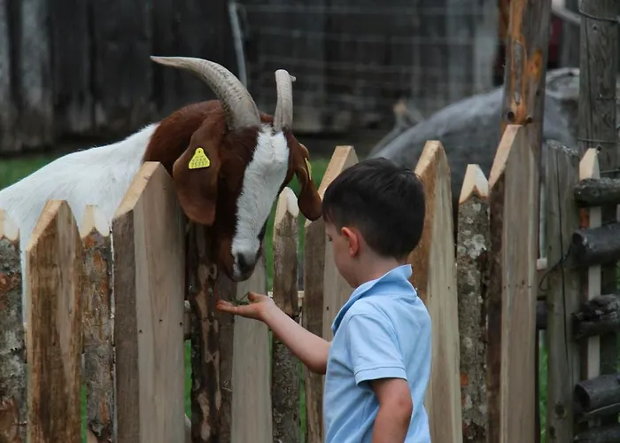 Pension Baarblick בית הארחה 3*