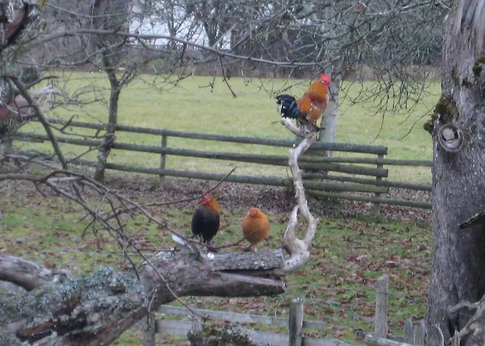 Pension Baarblick בית הארחה דונאו-אשינגן