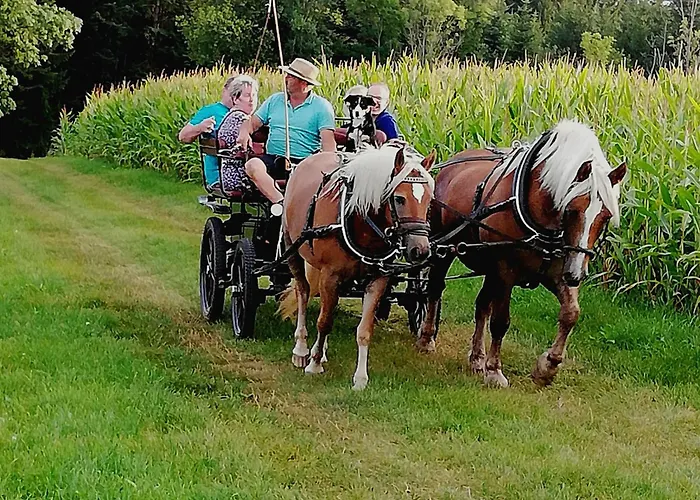 Pension Baarblick 3* דונאו-אשינגן