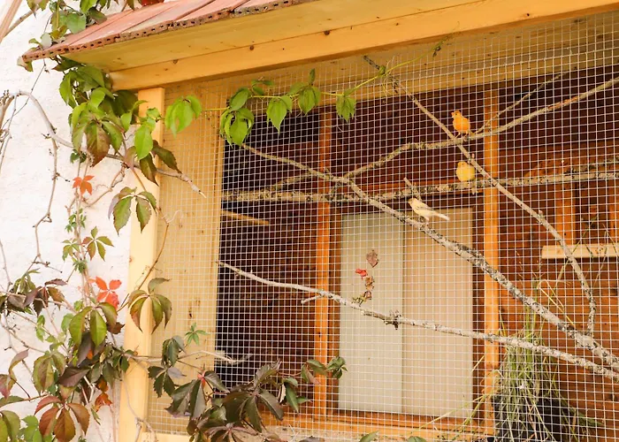 Pension Baarblick בית הארחה