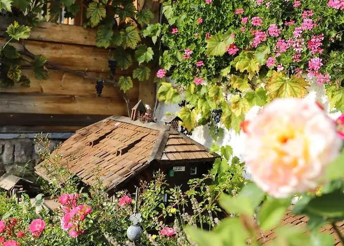 Pension Baarblick 3* דונאו-אשינגן