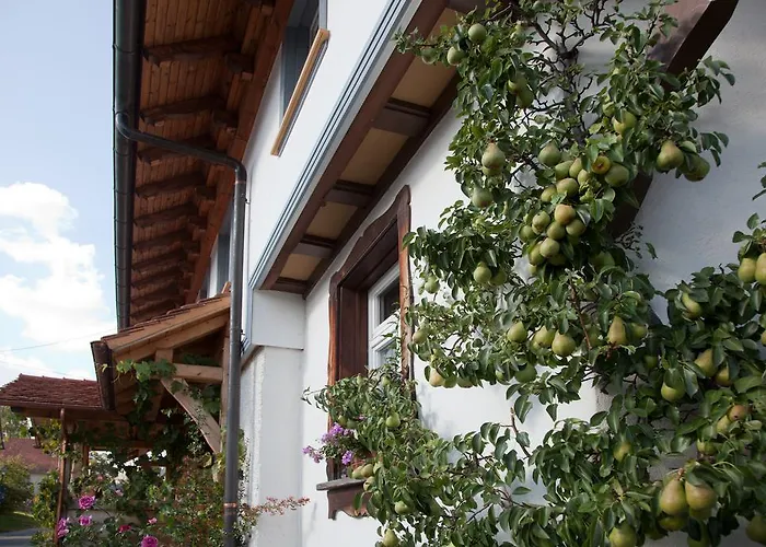 Pension Baarblick בית הארחה