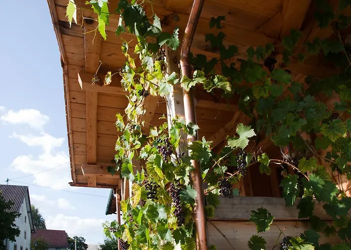 בית הארחה Pension Baarblick