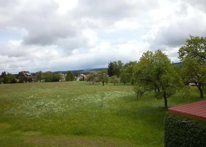 Pension Baarblick בית הארחה דונאו-אשינגן