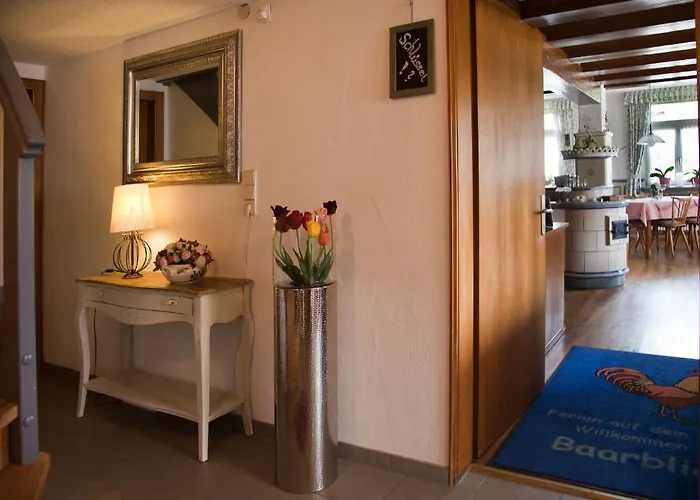 Pension Baarblick 3* דונאו-אשינגן