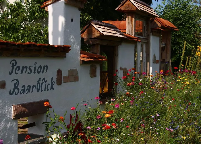 Pension Baarblick 3* דונאו-אשינגן