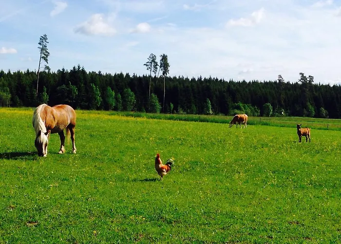 Pension Baarblick בית הארחה