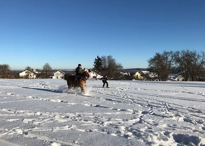 Pension Baarblick 3* דונאו-אשינגן