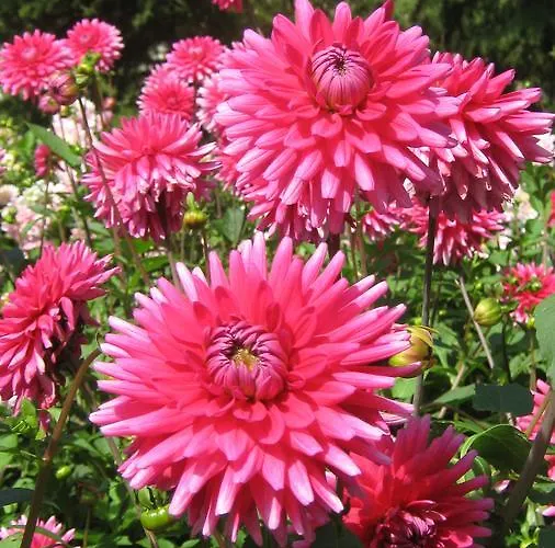 Pension Baarblick 3* דונאו-אשינגן