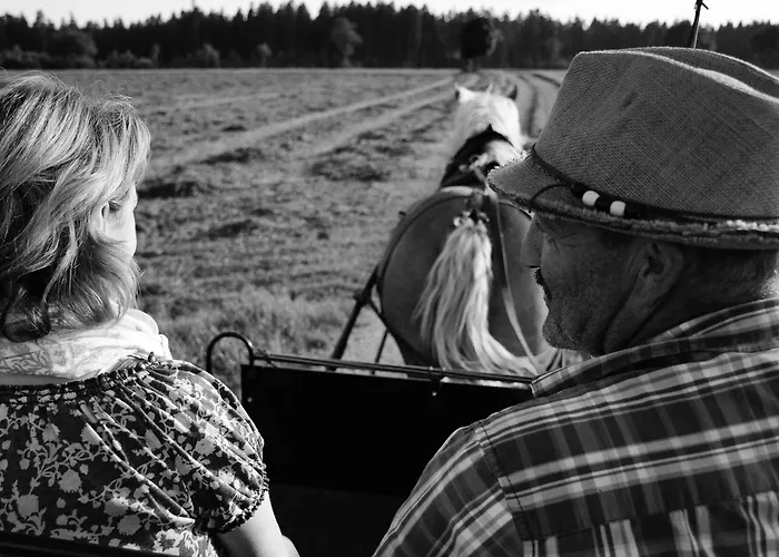 Pension Baarblick 3*