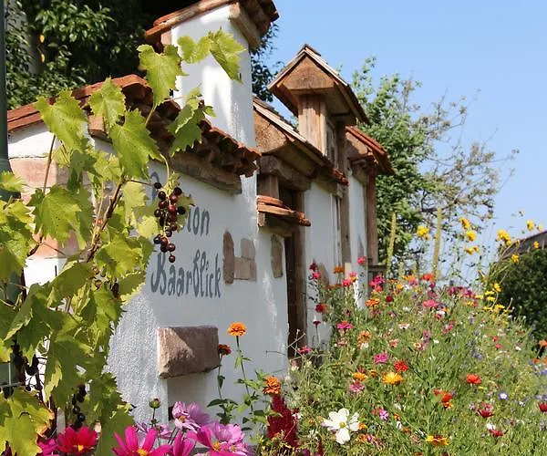 בית הארחה Pension Baarblick דונאו-אשינגן